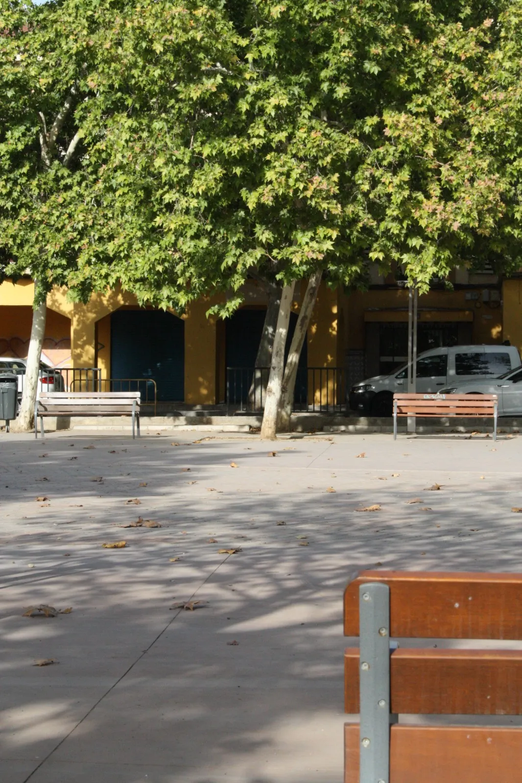 Plaza arbolada con bancos vacíos frente a locales cerrados, a primera hora